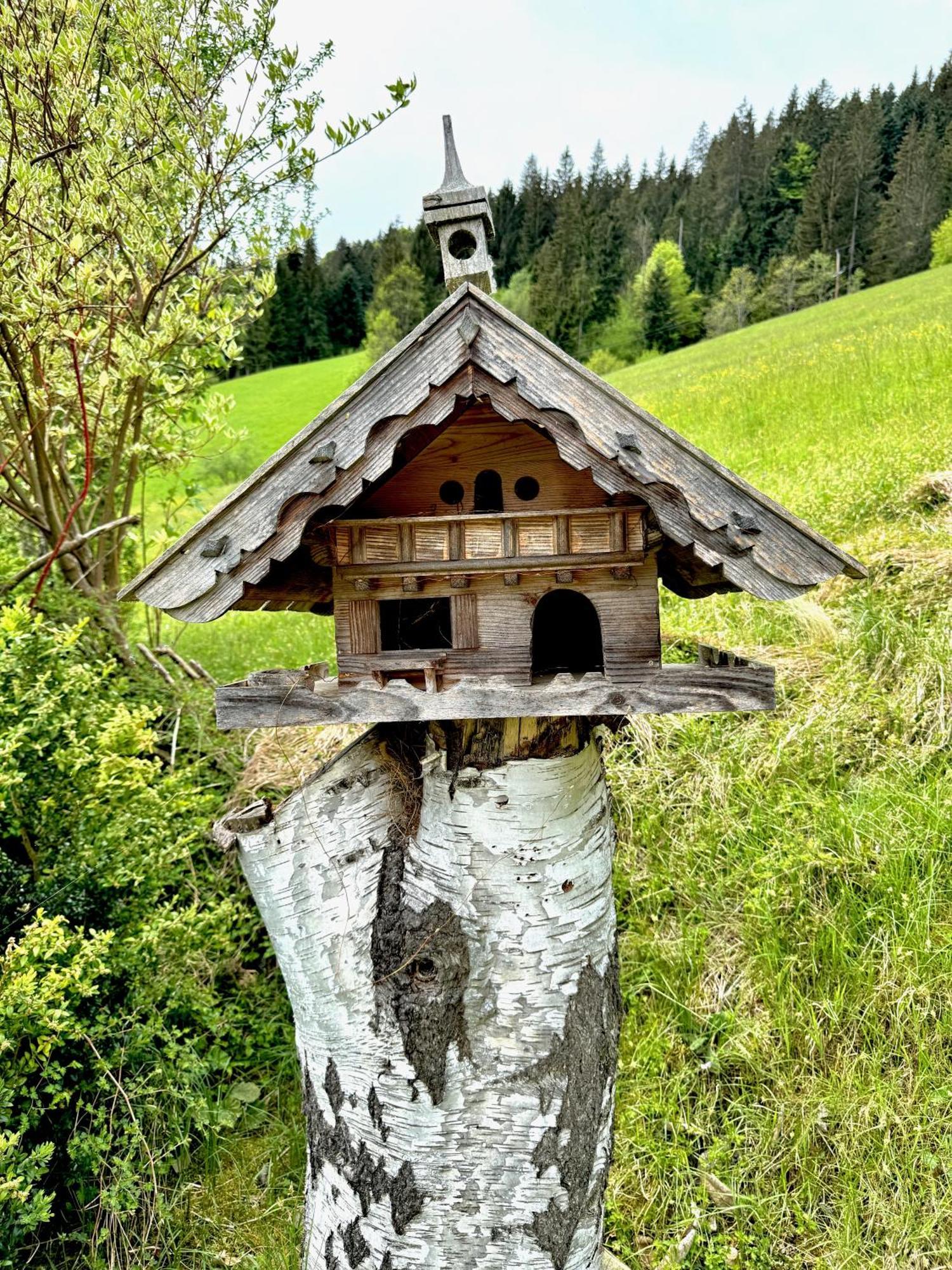 5* Panorama Chalet Mit Sauna By Belle Stay Going am Wilden Kaiser Exteriör bild